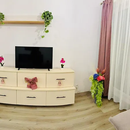 Corina 브라쇼브